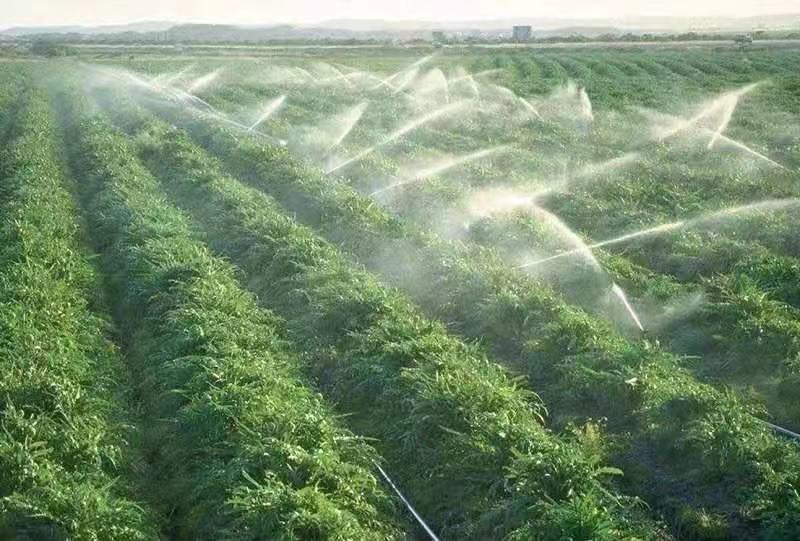 659e38faccca4.jpg 微信圖片_2021032615030747.jpg